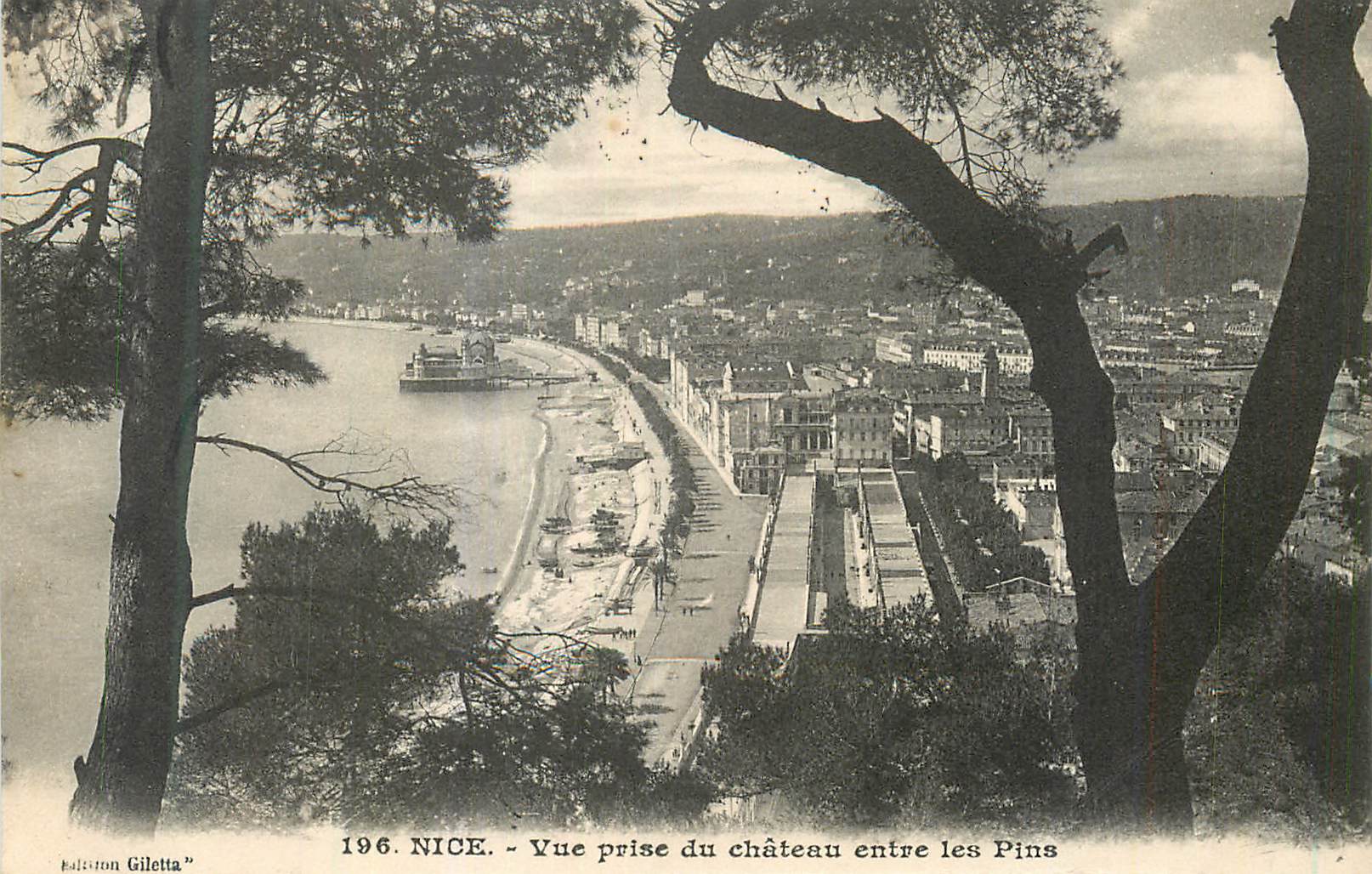 CPA Nice Vue prise du chateau entre les Pins