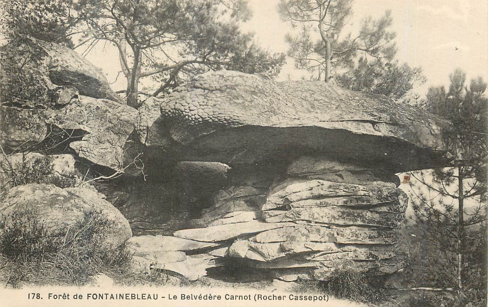Forêt de FONTAINEBLEAU — Le Belvédère Carnot (Rocher Cassepot) — série 178