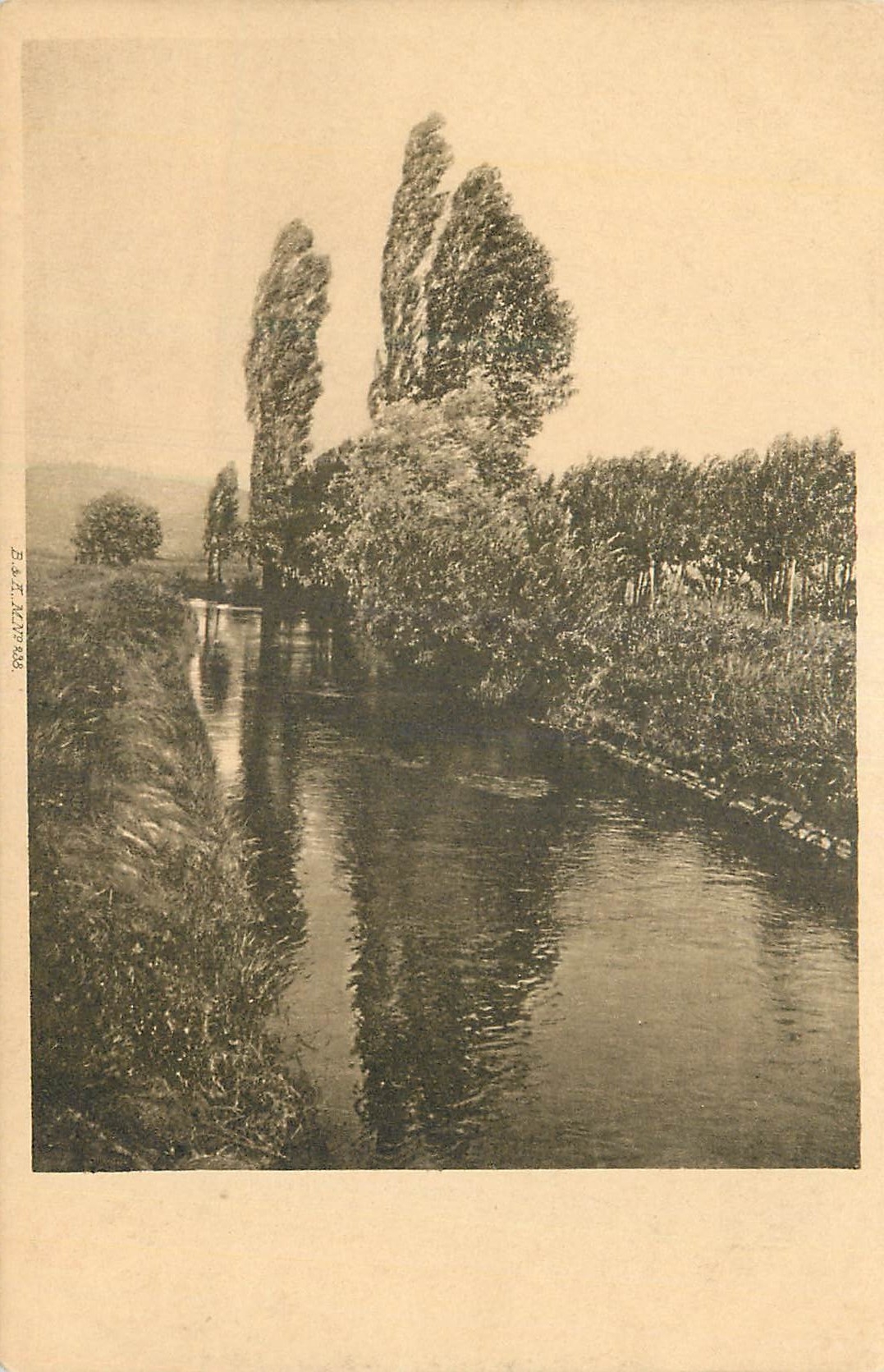 CPA Bosquet au bord de l'eau