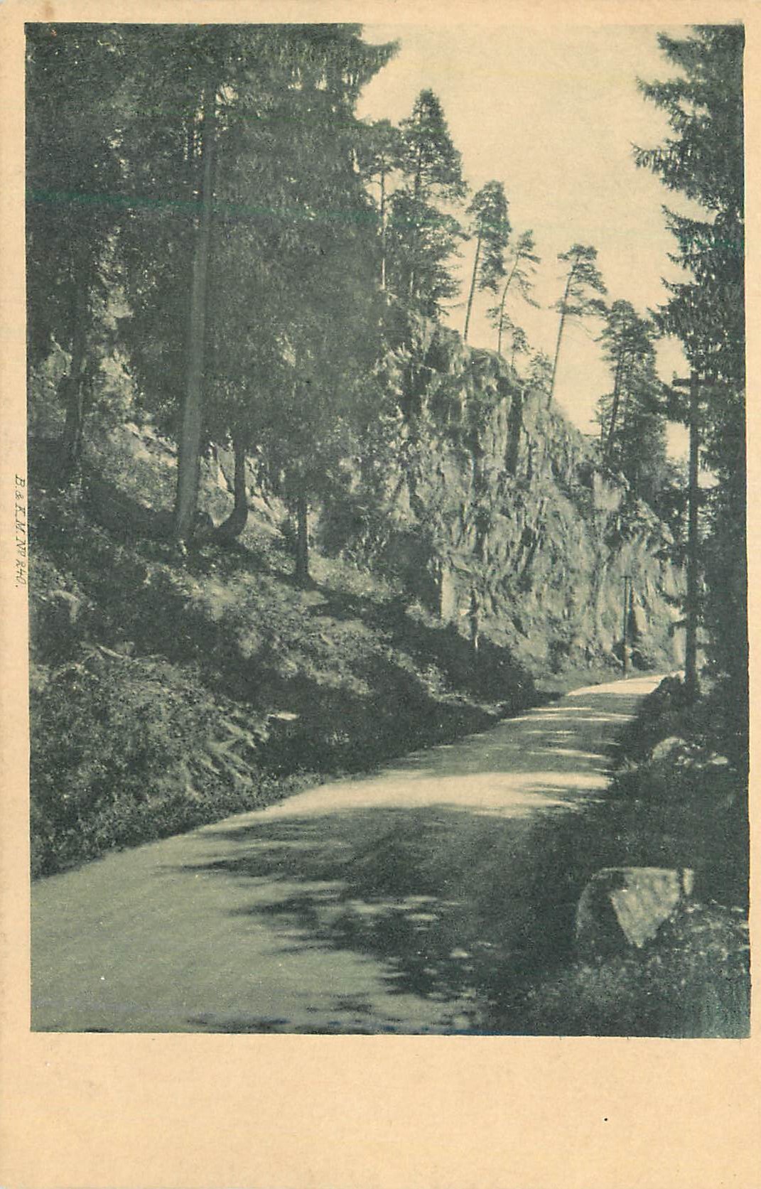 CPA Chemin dans la foret