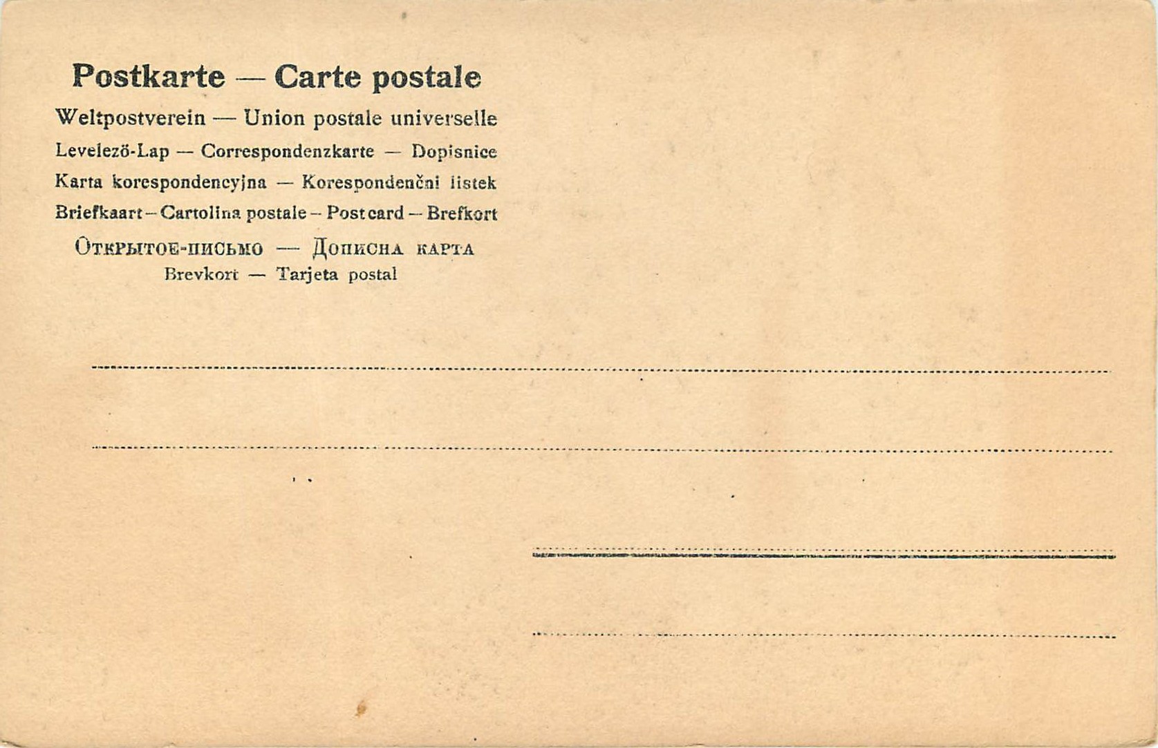CPA Chemin dans la foret — Verso