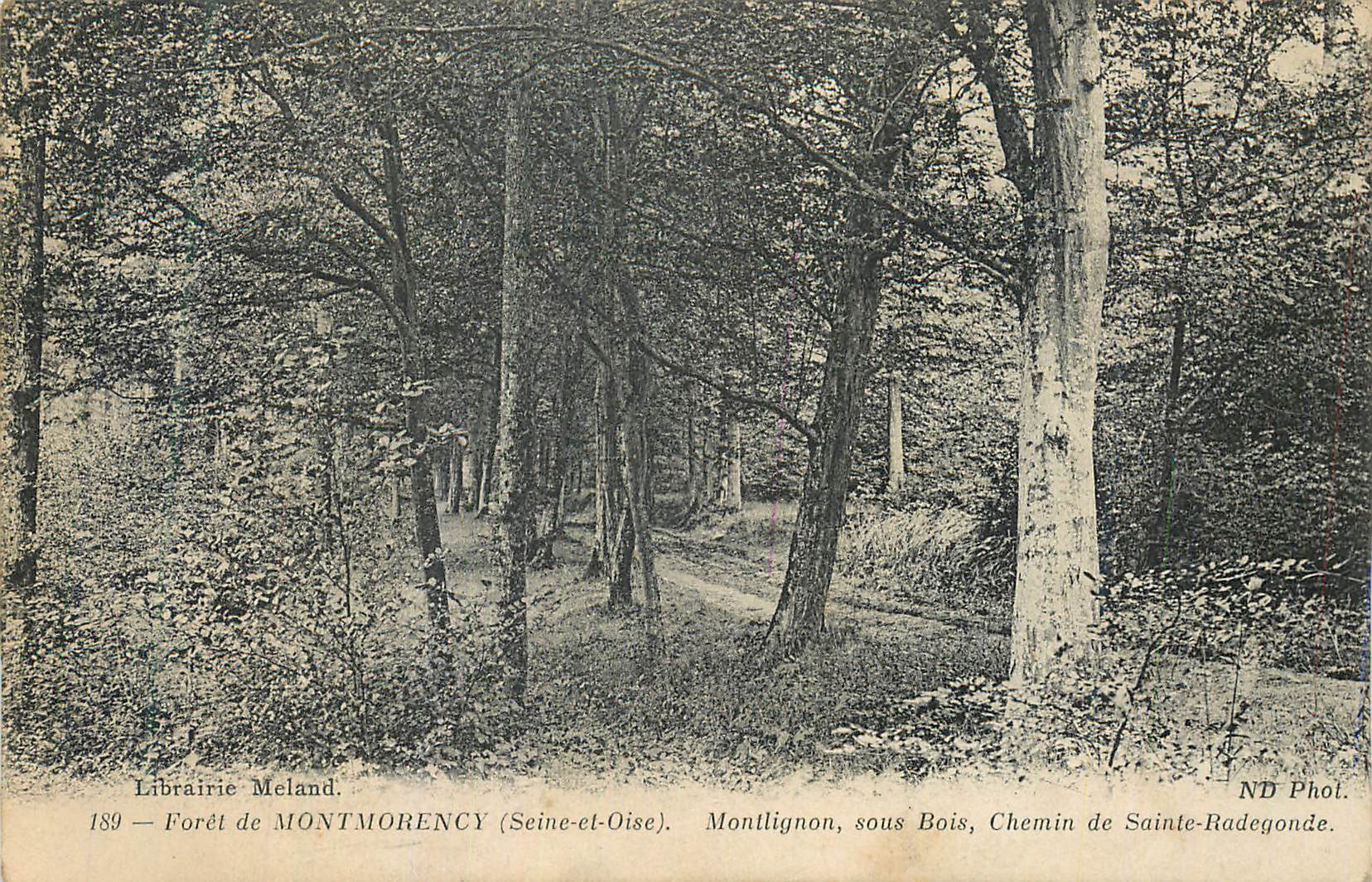 Foresta di Montmorency — Montlignon, sotto Bois, Chemin de Sainte-Radegonde — Librairie Meland, n°189