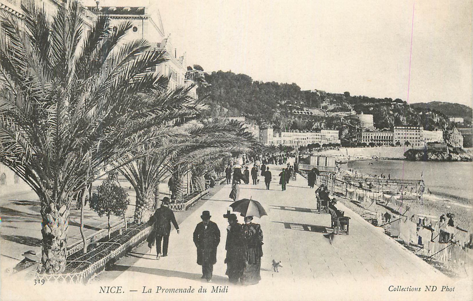 CPA Nice La Promenade du Midi