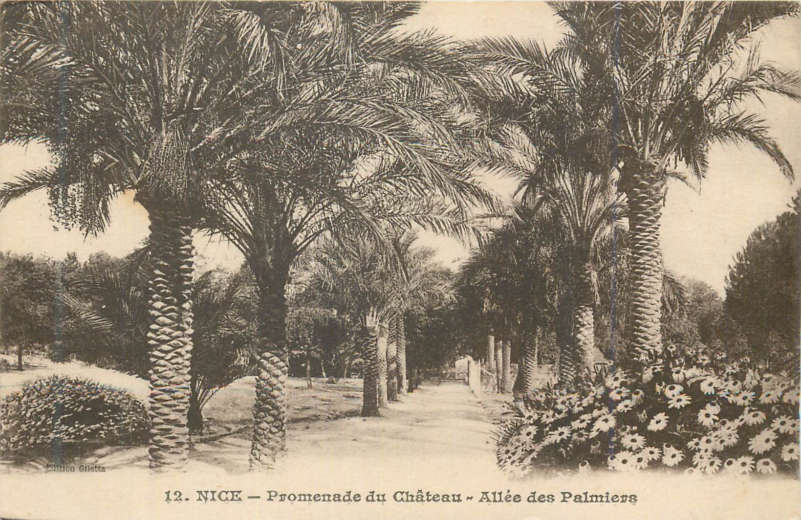 CPA Nice Promenade du Chateau Allee des Palmiers
