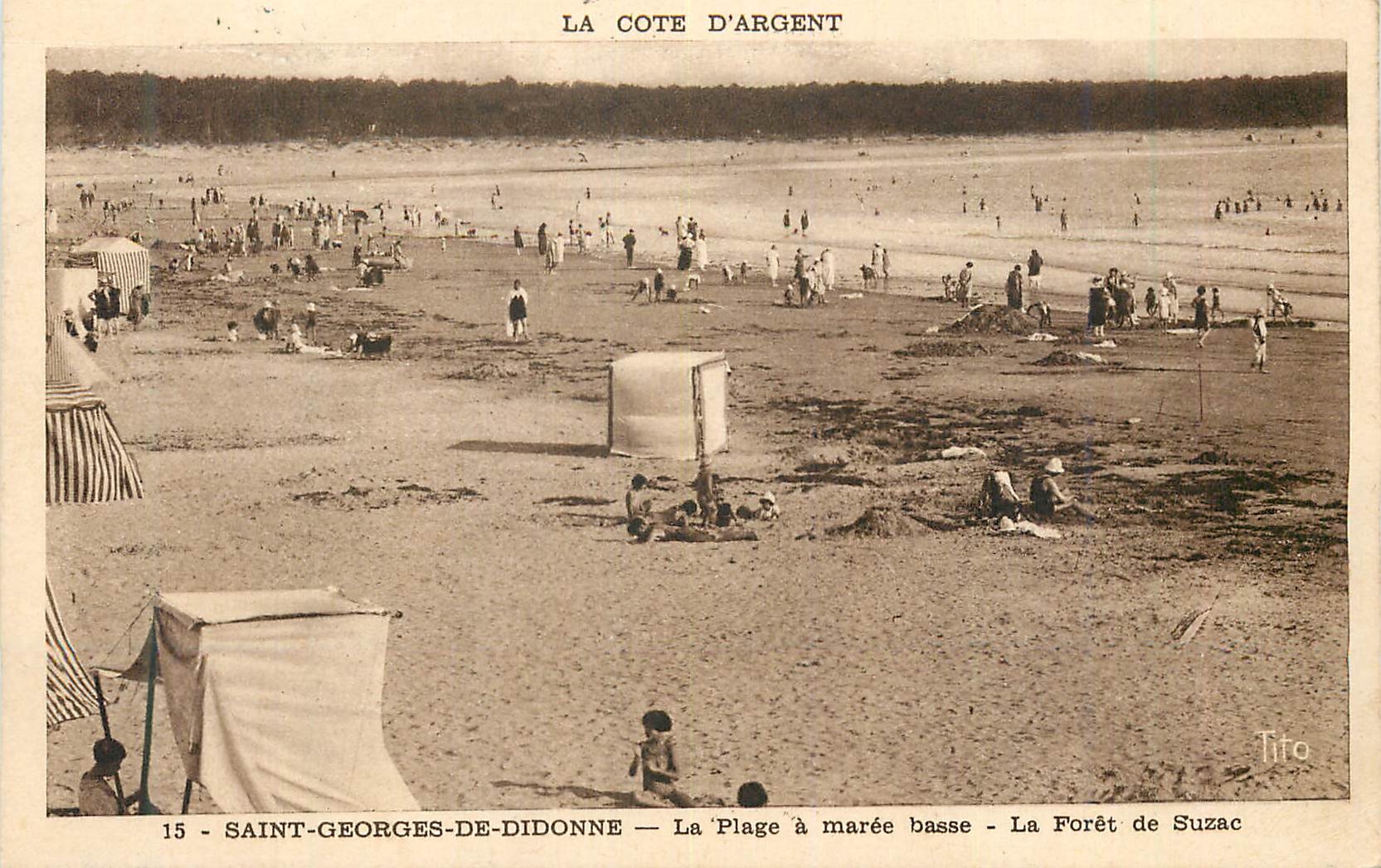 CPA Saint Georges de Didonne La Plage a maree basse La Foret de Suzac 