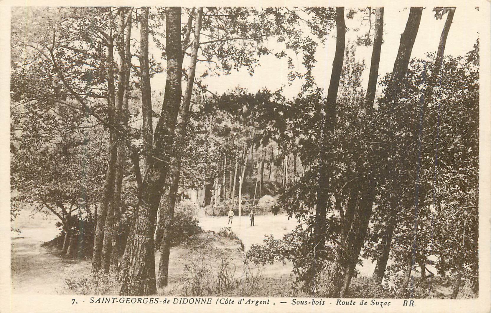 CPA Saint Georges de Didonne Cote d Argent Sous bois Route de Suzac 
