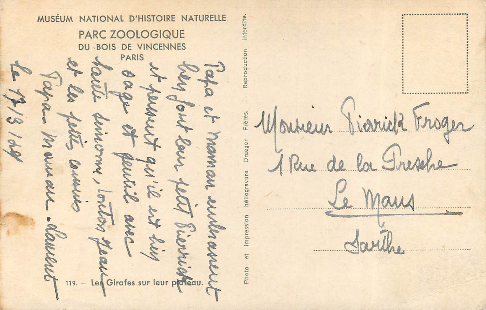 CPA Museum National d Histoire Naturelle Parc Zoologique Du Bois de Vincennes Paris Giraffe Autruche — Verso