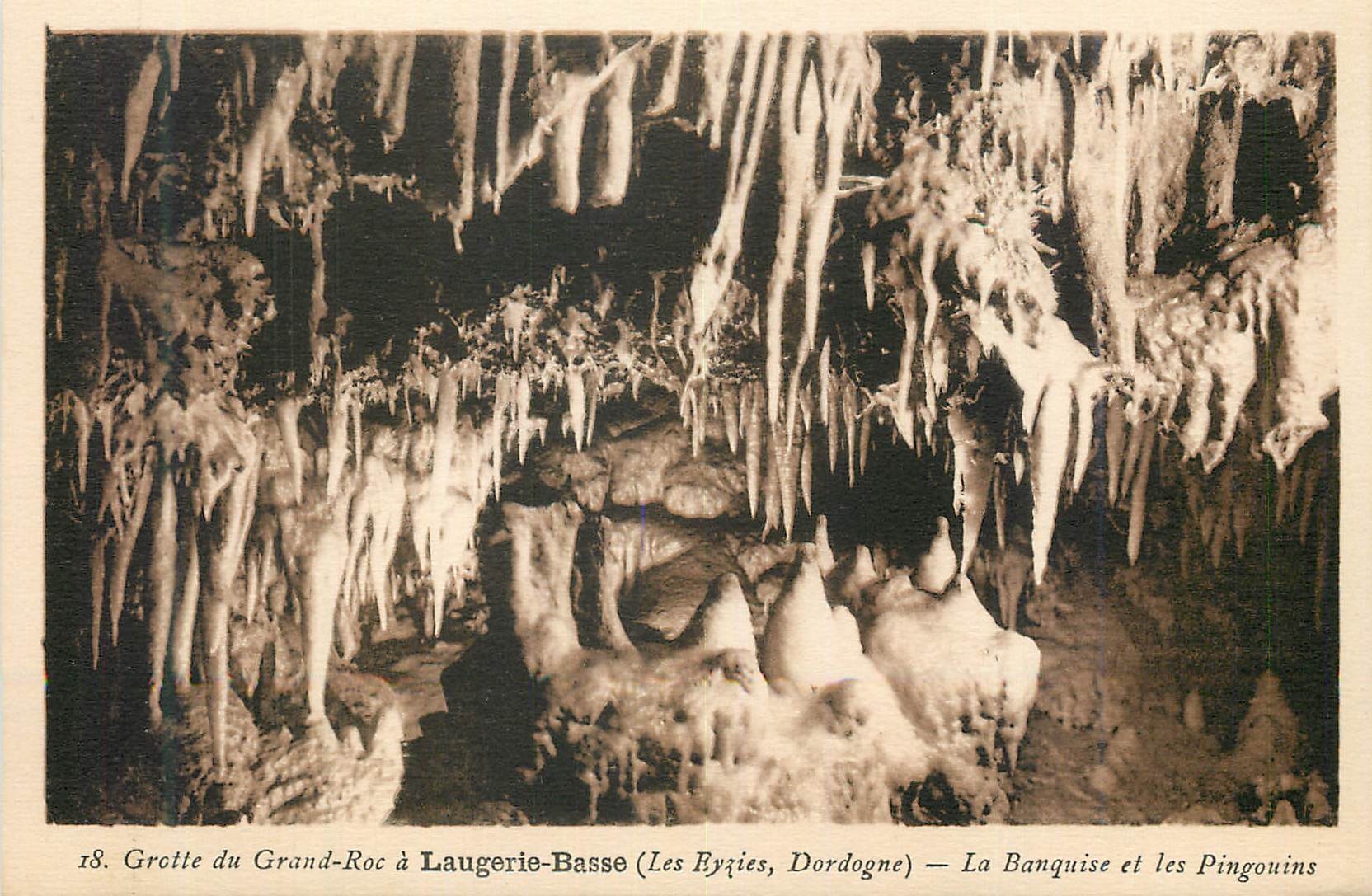 Grotte du Grand-Roc à Laugerie-Basse (Les Eyzies, Dordogne) — La Banquise et les Pingouins — n°18