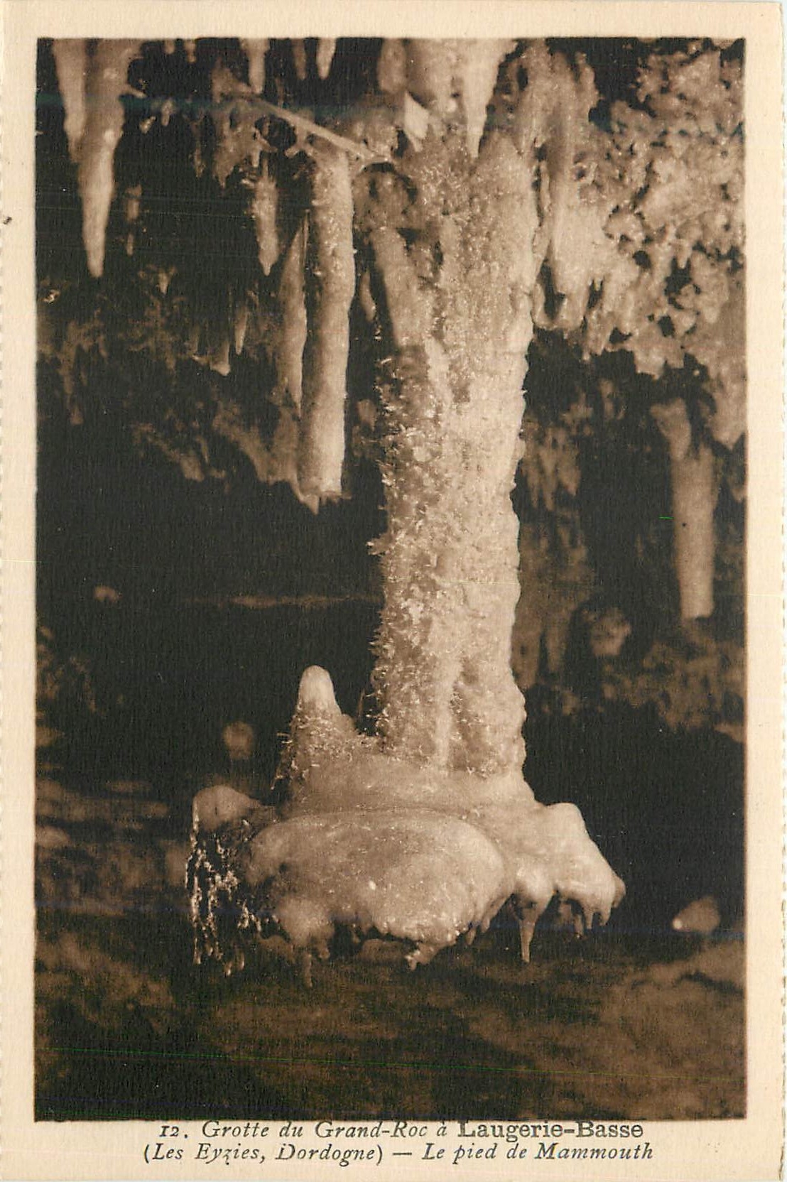 Grotte du Grand-Roc à Laugerie-Basse — Le pied de Mammouth — Les Eyzies, Dordogne