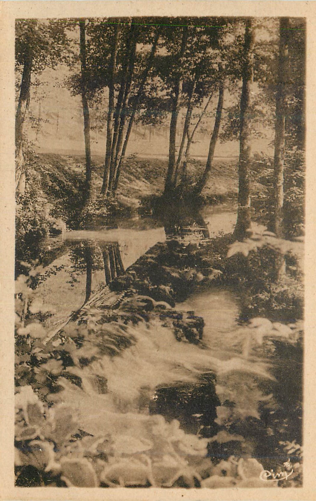 CPA Bains les Bains Vosges Le Bagnerot dans le Parc 