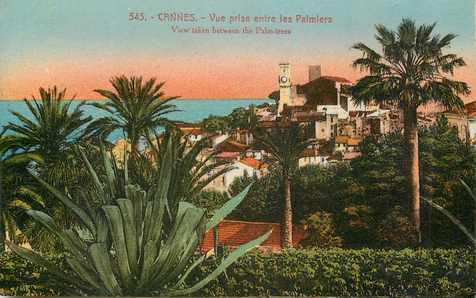 CPA Cannes Vue prise entre les Palmiers 