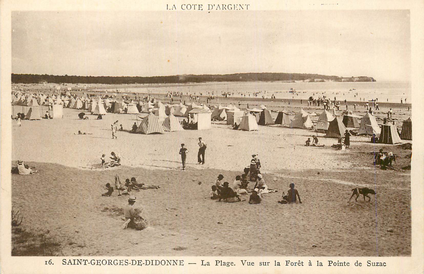 CPA Saint Georges de Didonne La Plage Vue sur la Foret a la Pointe de Suzac 