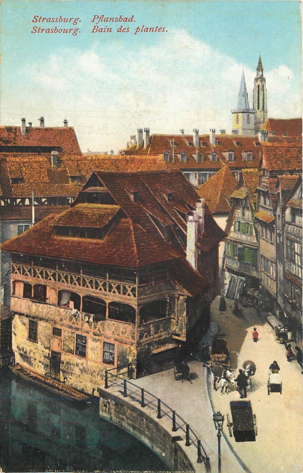 CPA Strasbourg Bain des plantes 