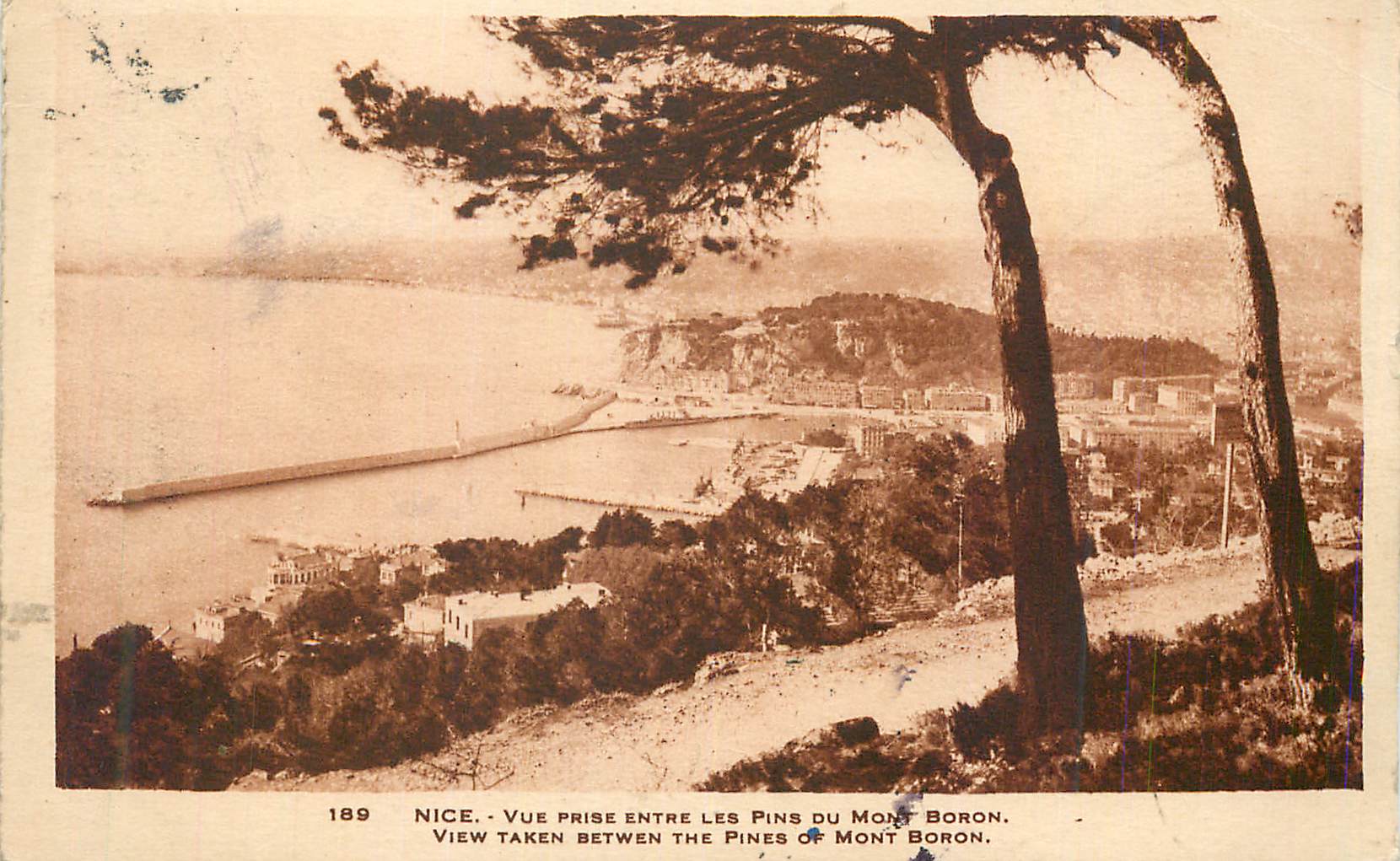 CPA Nice Vue prise entre les Pins du Mont Boron 