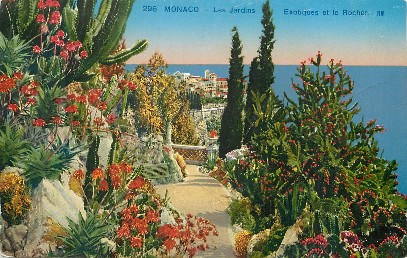 CPA Monaco Les jardins Exotiques et le rocher 