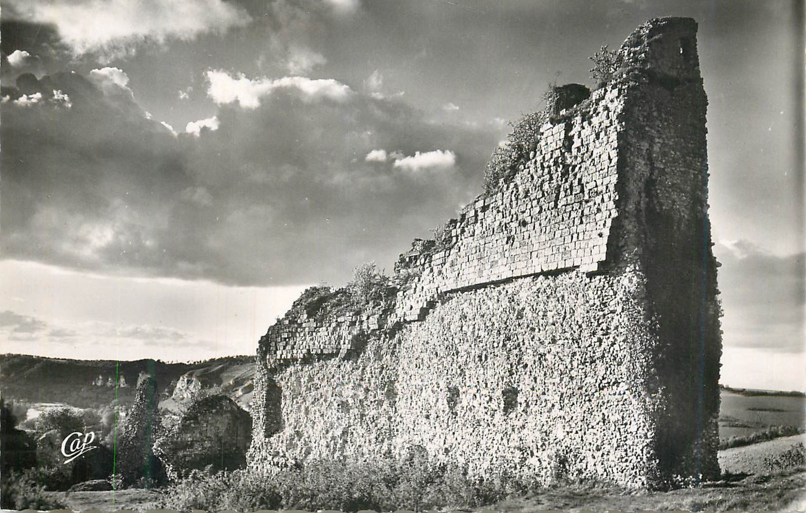 CPM Les Andelys Vestiges du Chateau Gaillard 