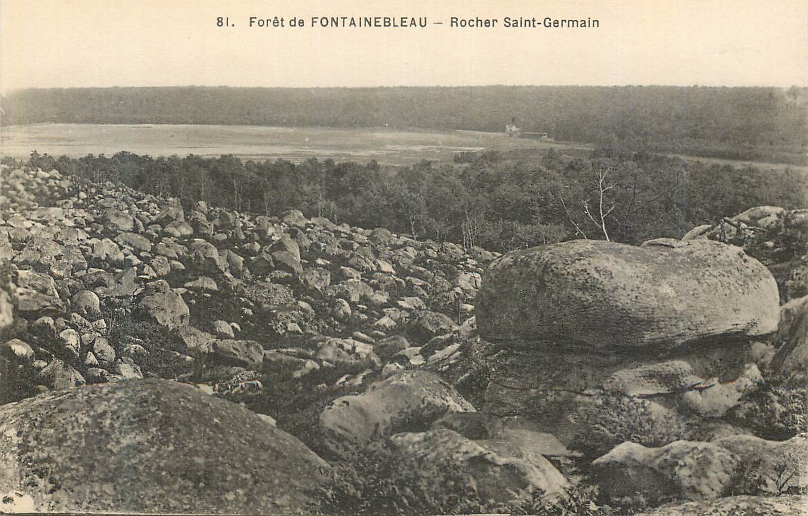 Wald von FONTAINEBLEAU — Rocher Saint-Germain — n° 81