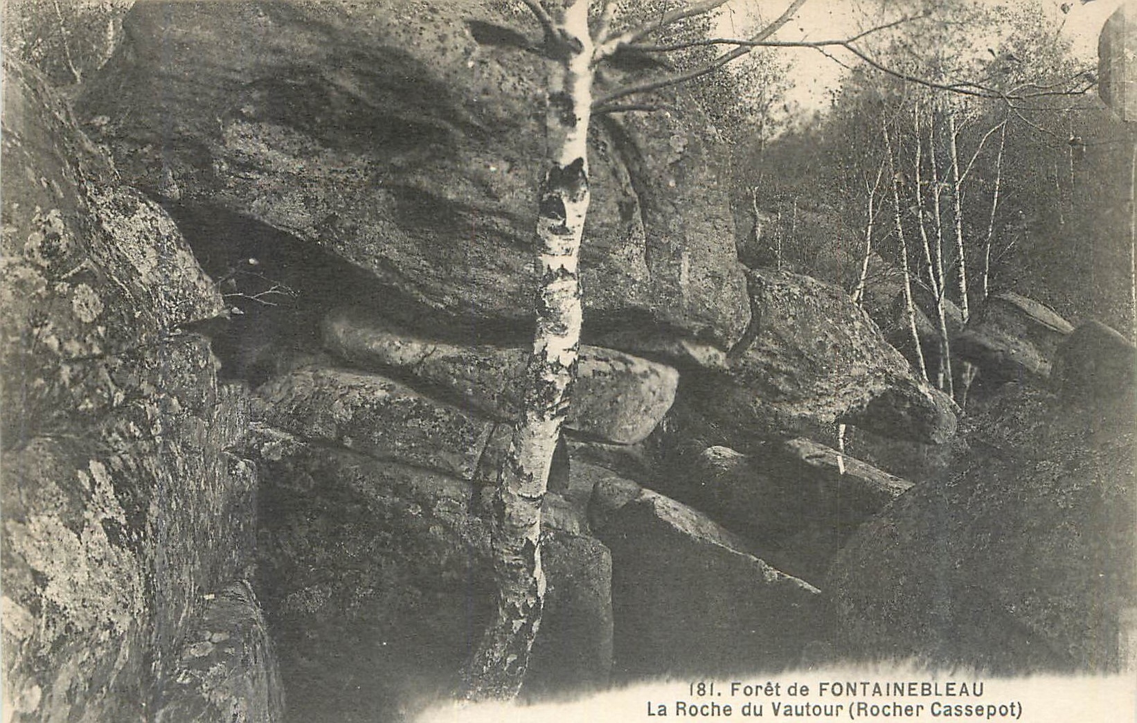La Roche du Vautour (Rocher Cassepot) — Forêt de Fontainebleau — série 181