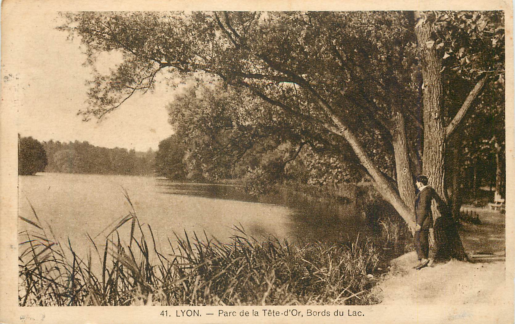 CPA Lyon Parc de la Tete d Or Bords du Lac 