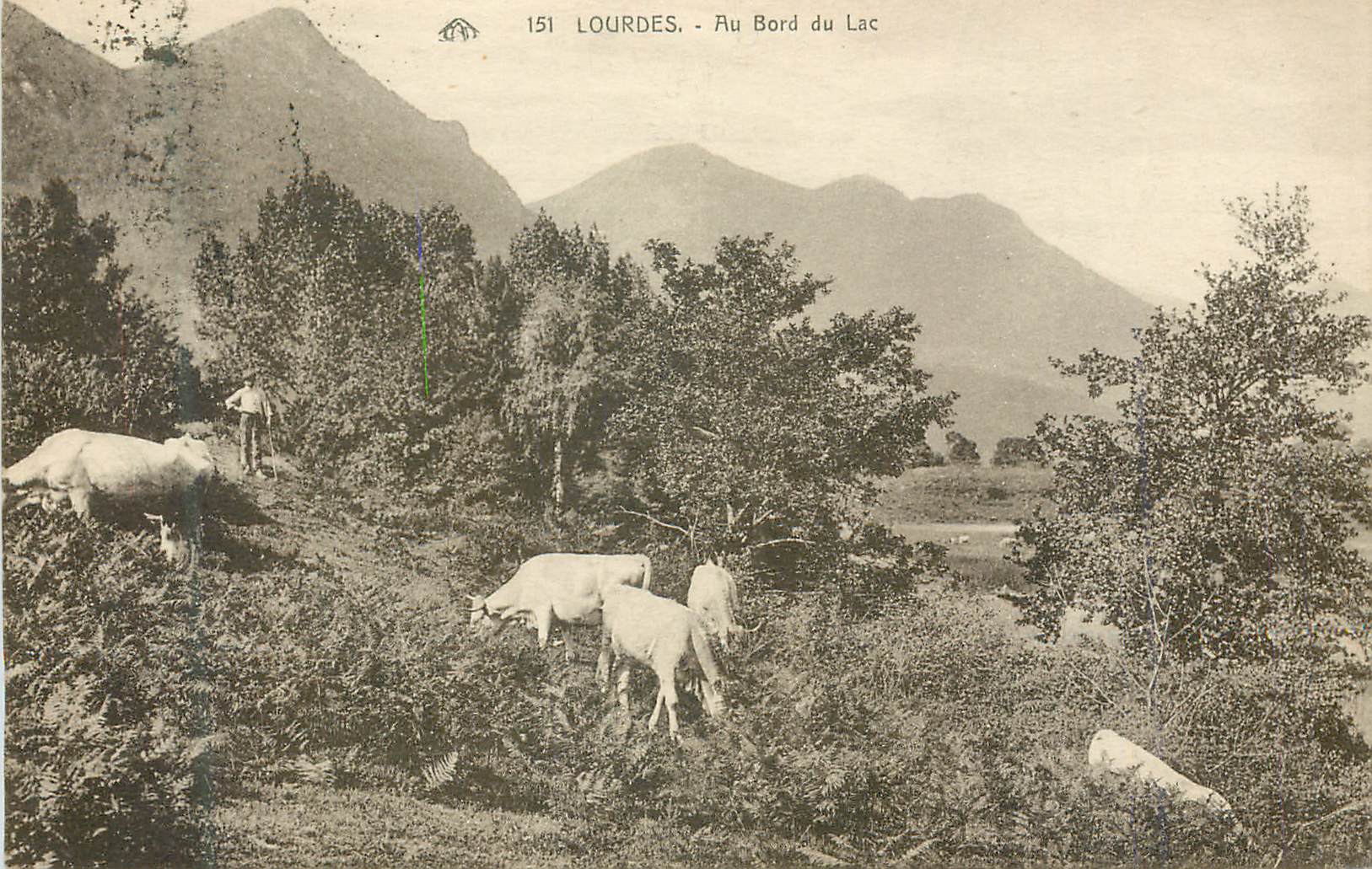 CPA Lourdes Au bord du Lac Vaches