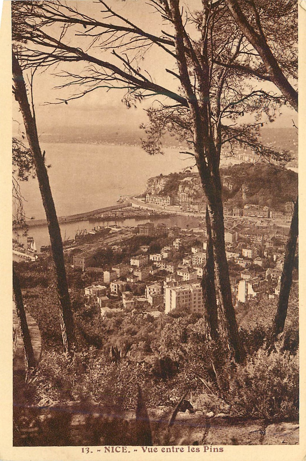 CPA Nice Vue entre les pins 