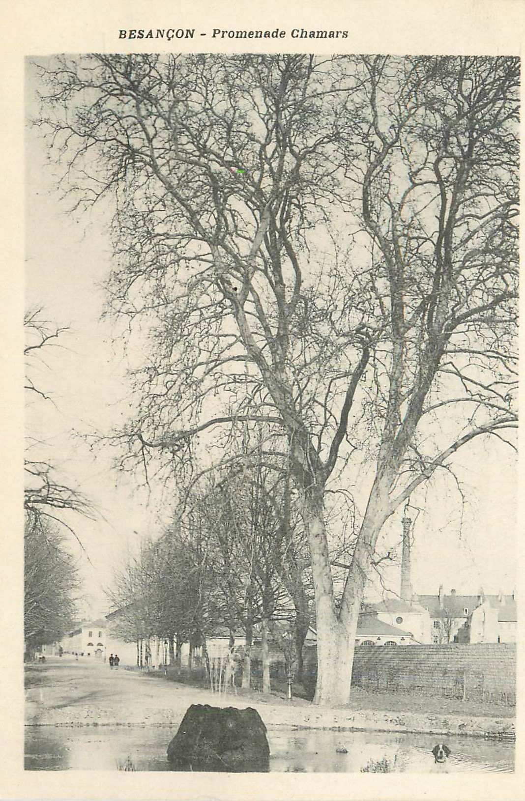 Besançon - Promenade Chamars — vue d'arbres dénudés et canal - Recto
