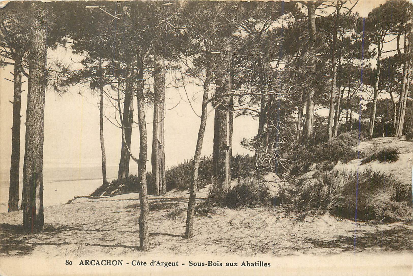 CPA Arcachon Cote d Argent Sous bois aux Abatilles 