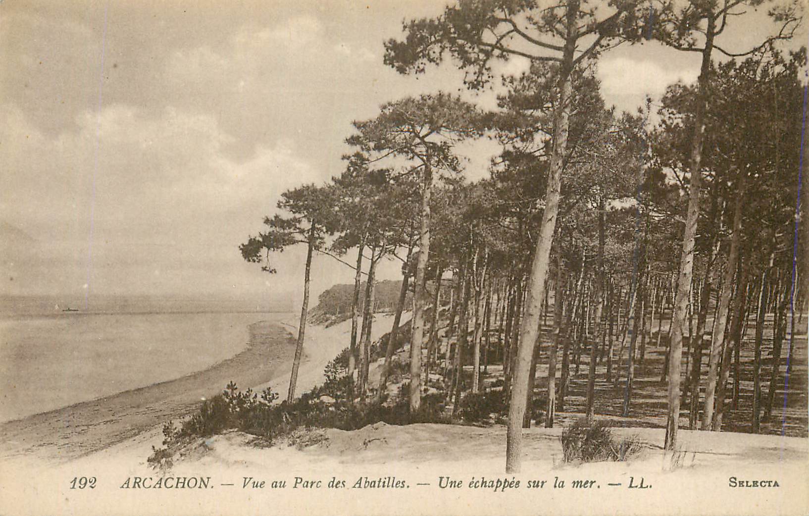 Arcachon — View of the Abatilles Park — A Glimpse of the Sea — LL. — Selecta