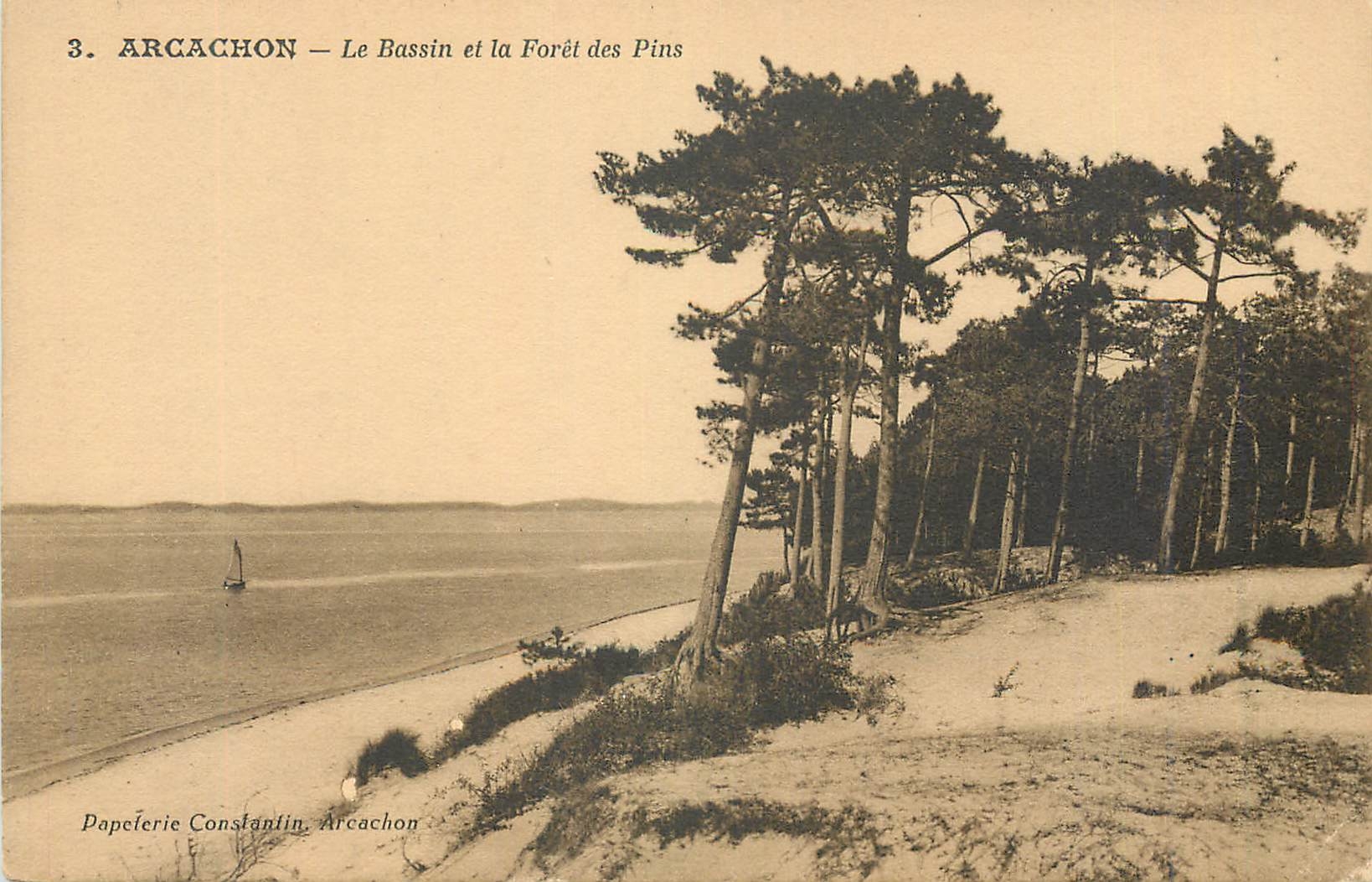 CPA Arcachon Le Bassin et la Foret des Pins 