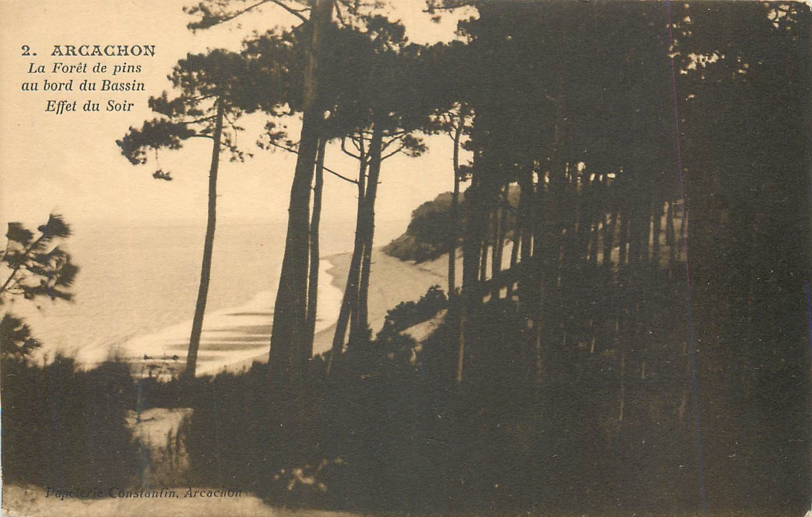 Arcachon — Pine Forest on the Edge of the Basin, Evening Effect — Papeterie Constantin, Arcachon