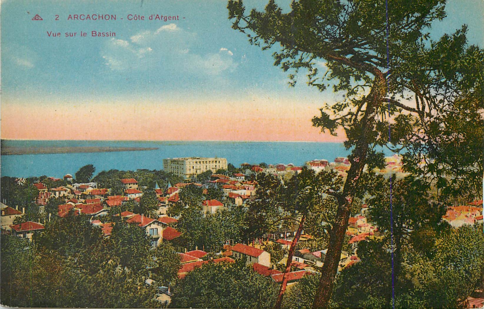 CPA Arcachon Cote d Argent Vue sur le Bassin 