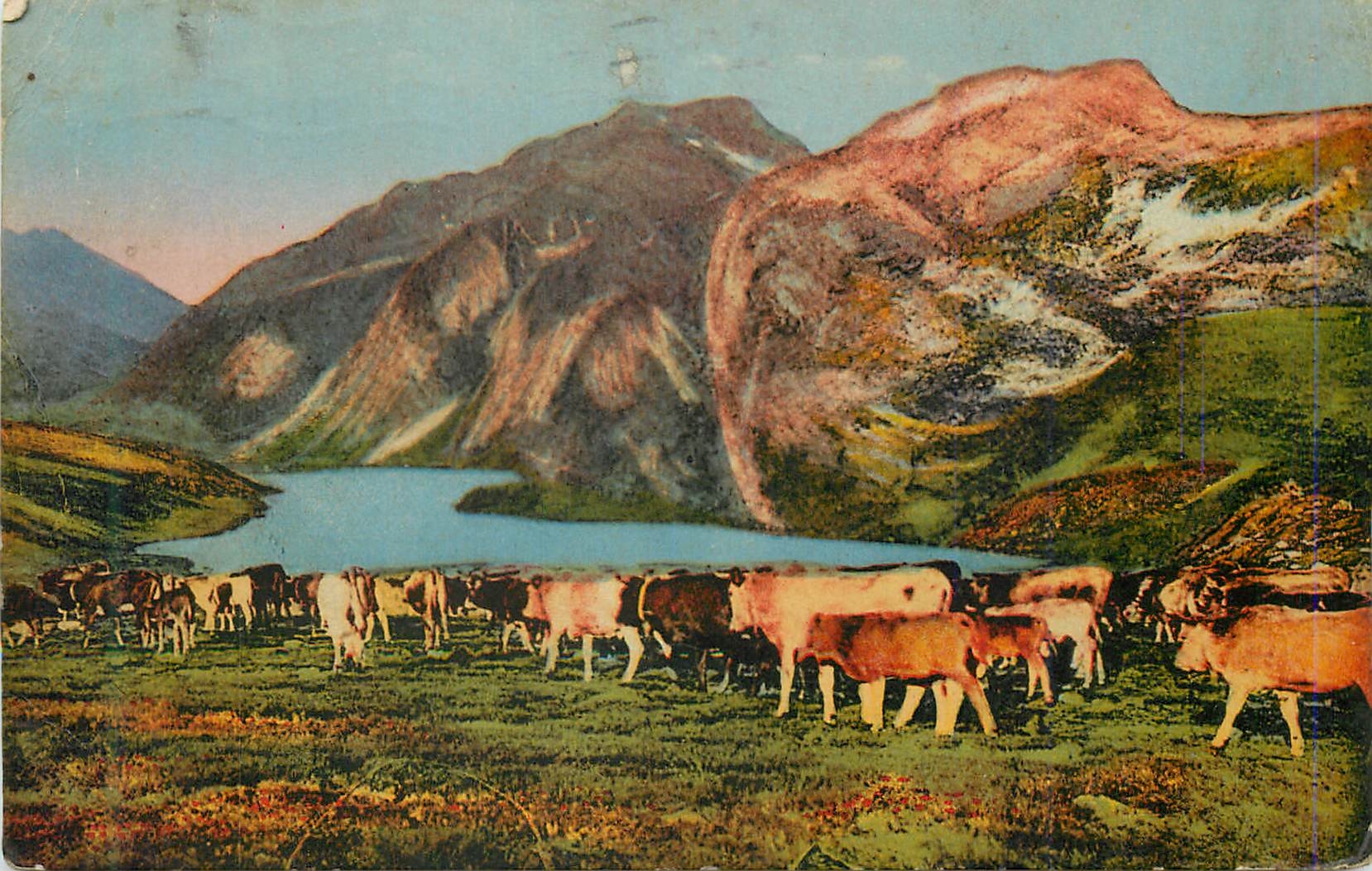 CPA Tableaux Pyreneens Troupeau descendant des hauts paturages 