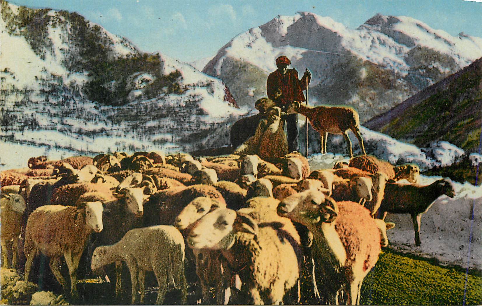 CPA Tableaux Pyreneens Un troupeau dans la montagne Moutons Elevage