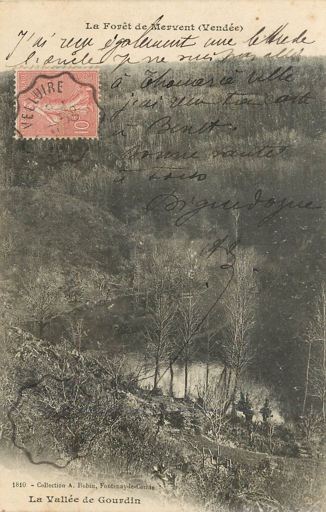 CPA La Foret de Mervent Vendee La Vallee de Gourdin 