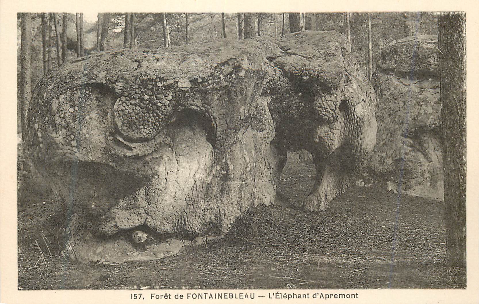 Bosque de FONTAINEBLEAU — El Elefante de Apremont — serie 157