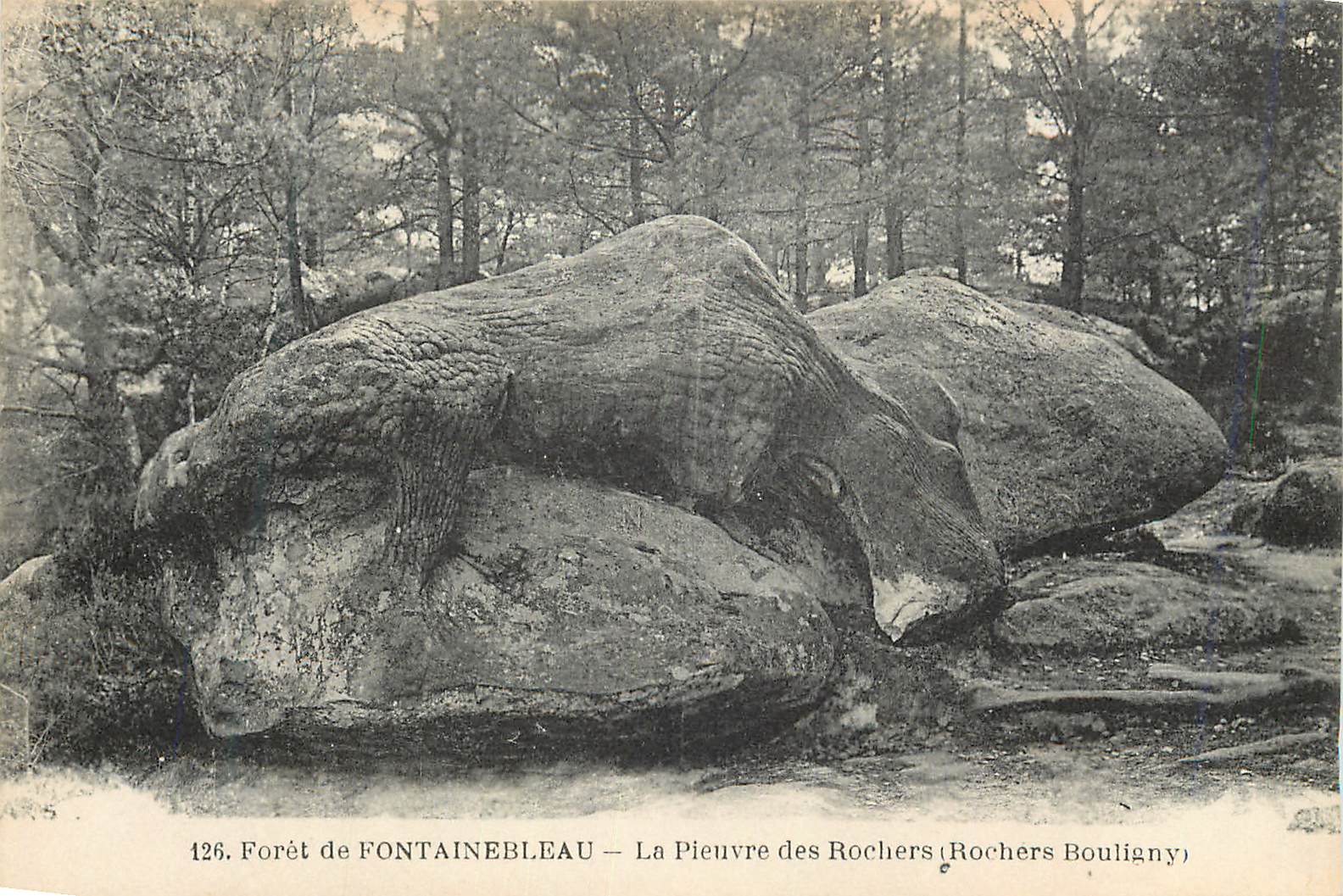 Foresta di FONTAINEBLEAU — La Piovra dei Rochers (Rochers Bouligny) — n° 126