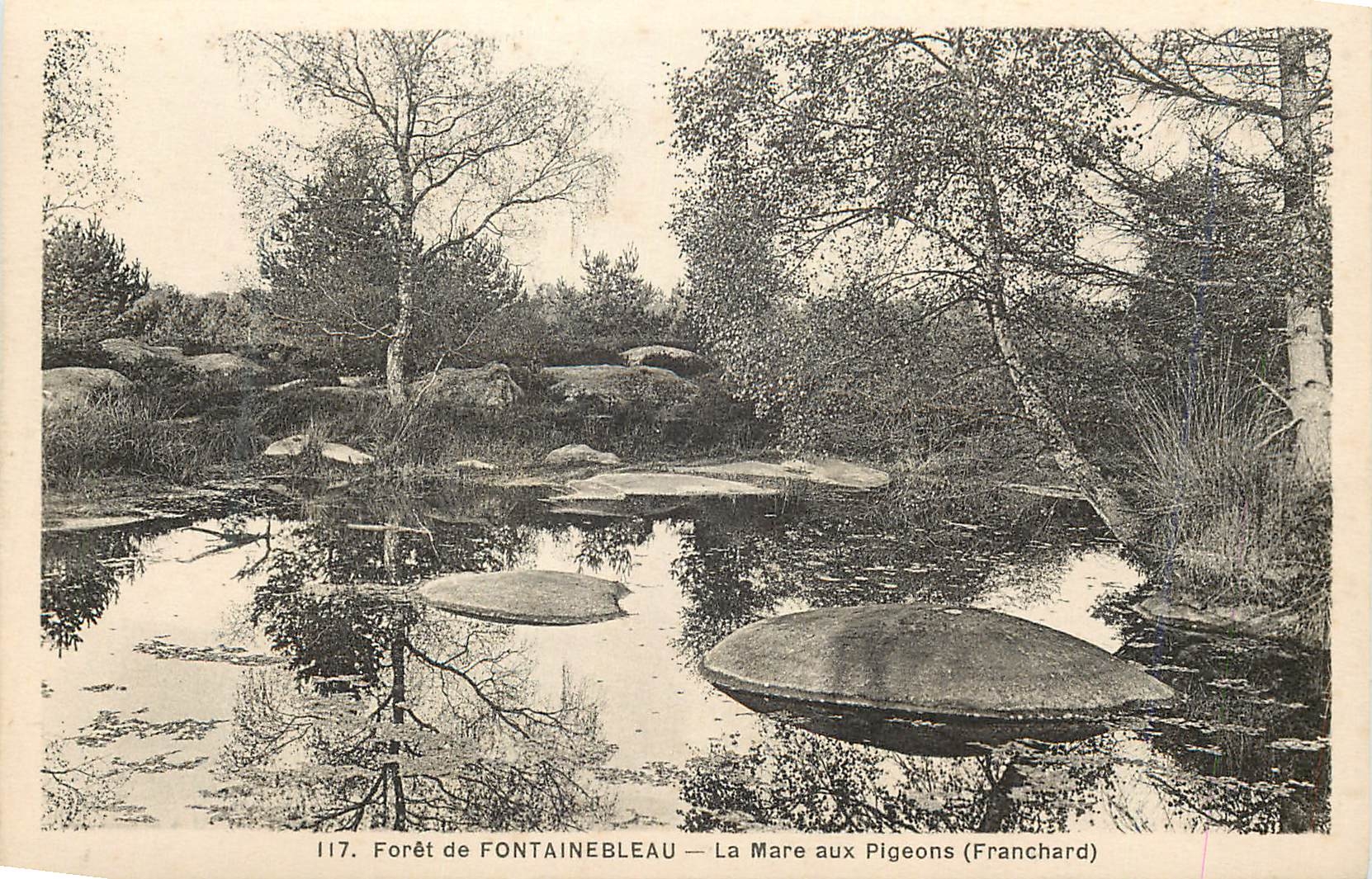 Foresta di FONTAINEBLEAU — La Mare aux Pigeons (Franchard) — n°117