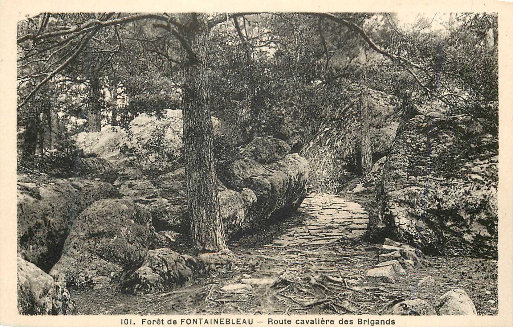 Bosque de FONTAINEBLEAU — Camino caballeresco de los Bandidos — n° 101