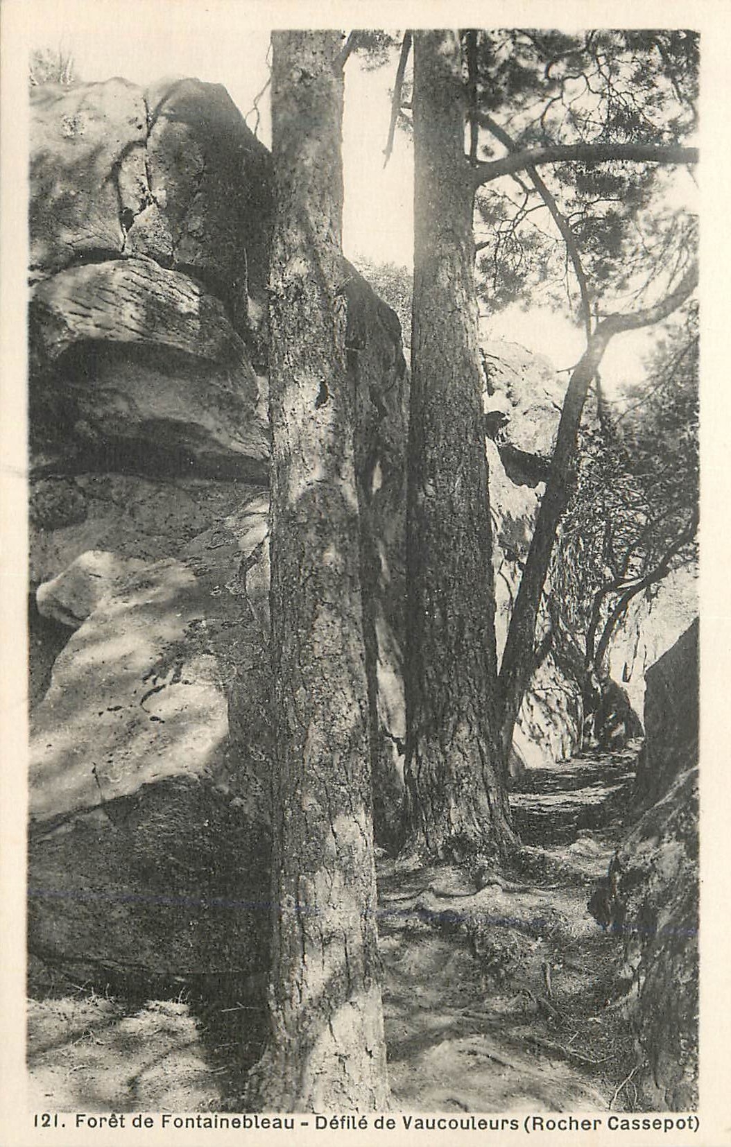 Wald von Fontainebleau — Pass von Vaucouleurs (Rocher Cassepot) — n°121
