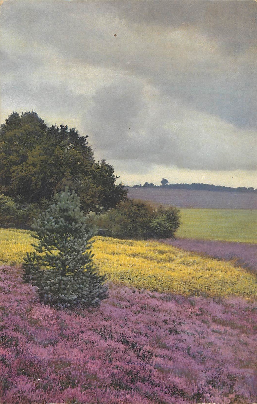 CPA Paysage