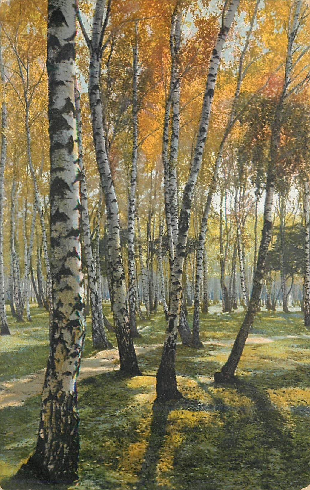 CPA Foret