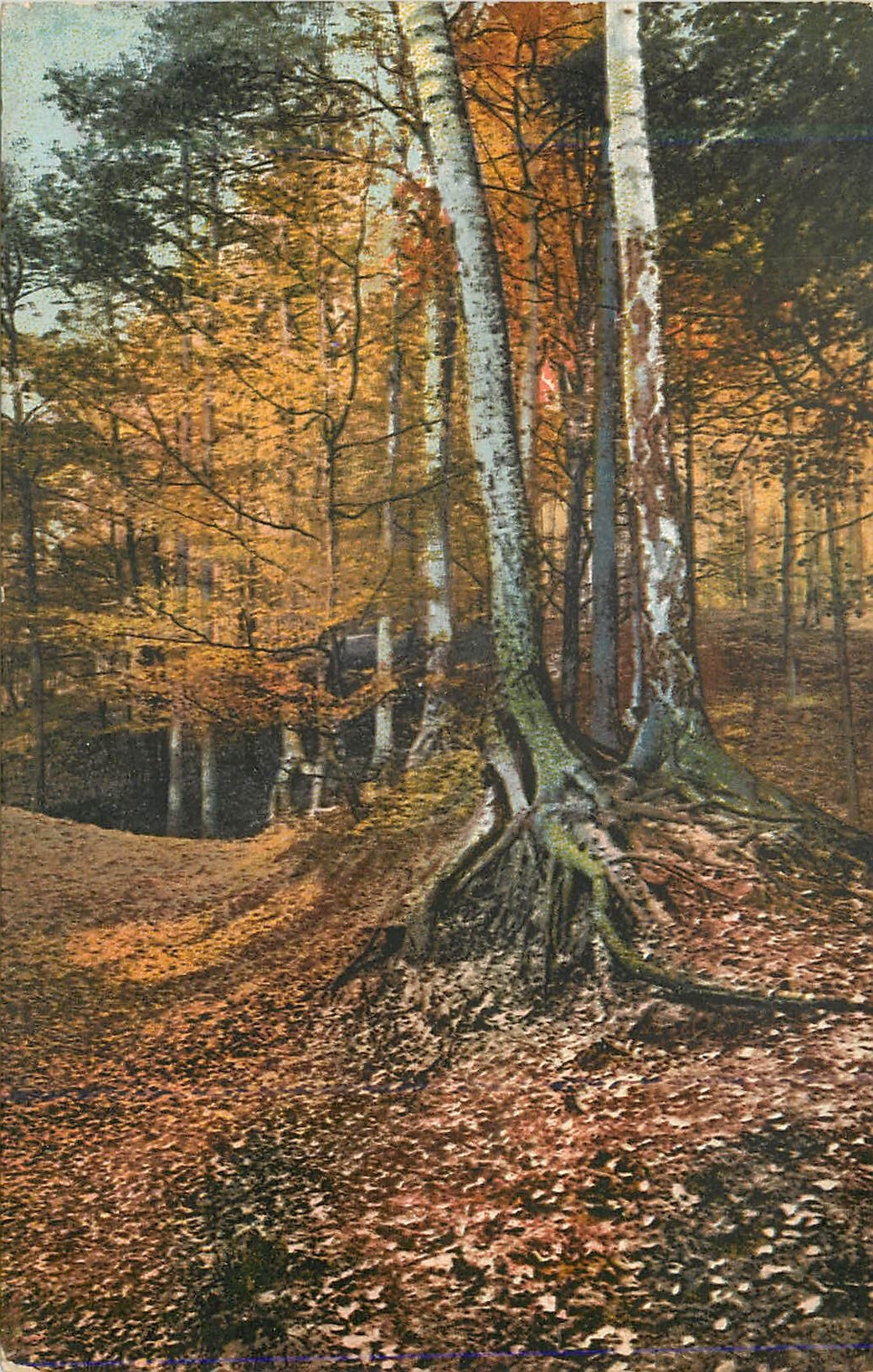 CPA Foret