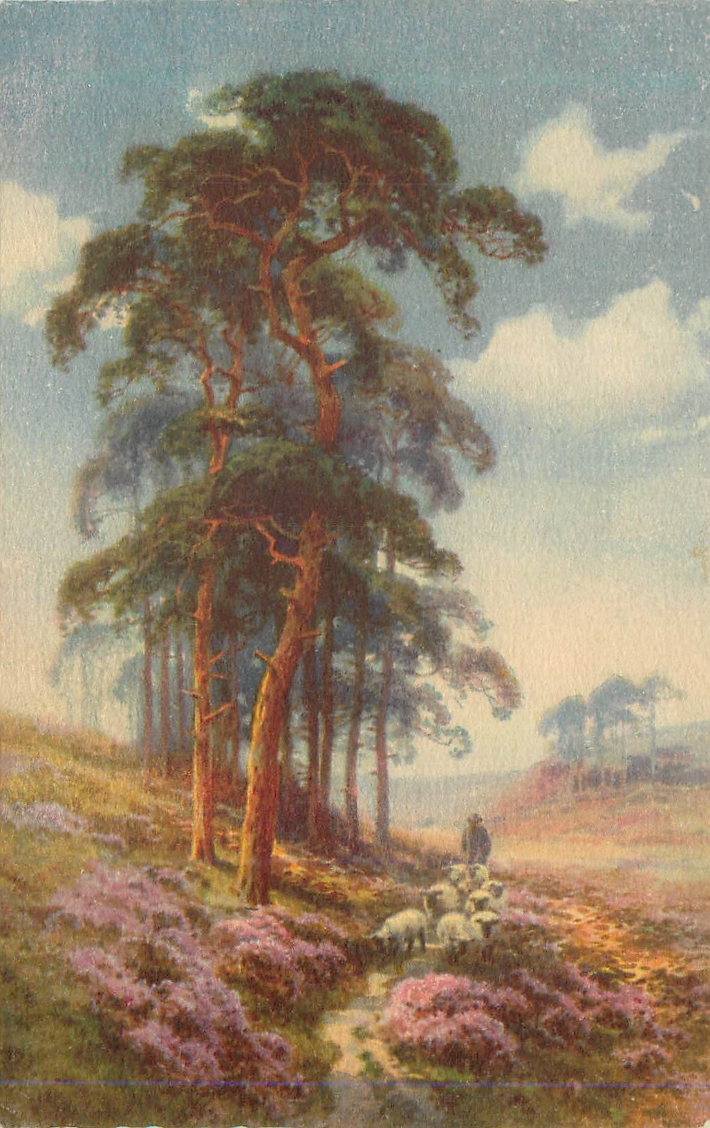 CPA Arbre