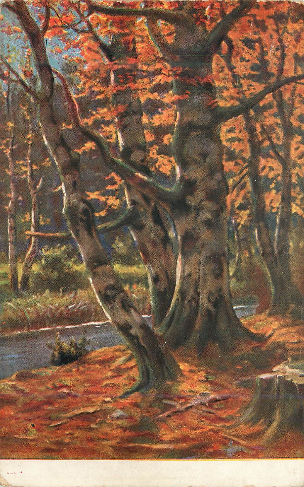 CPA Arbre