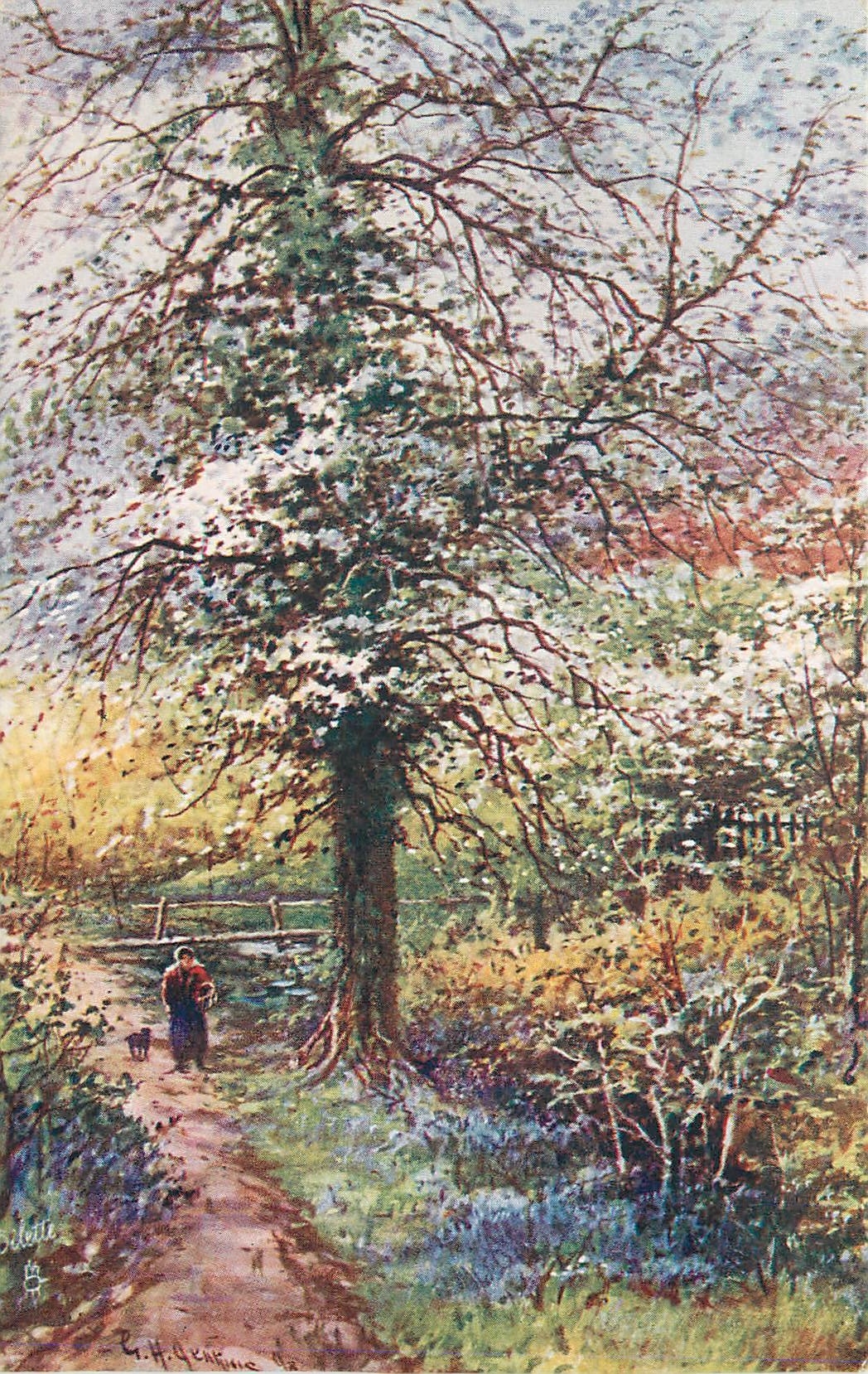 CPA Arbre
