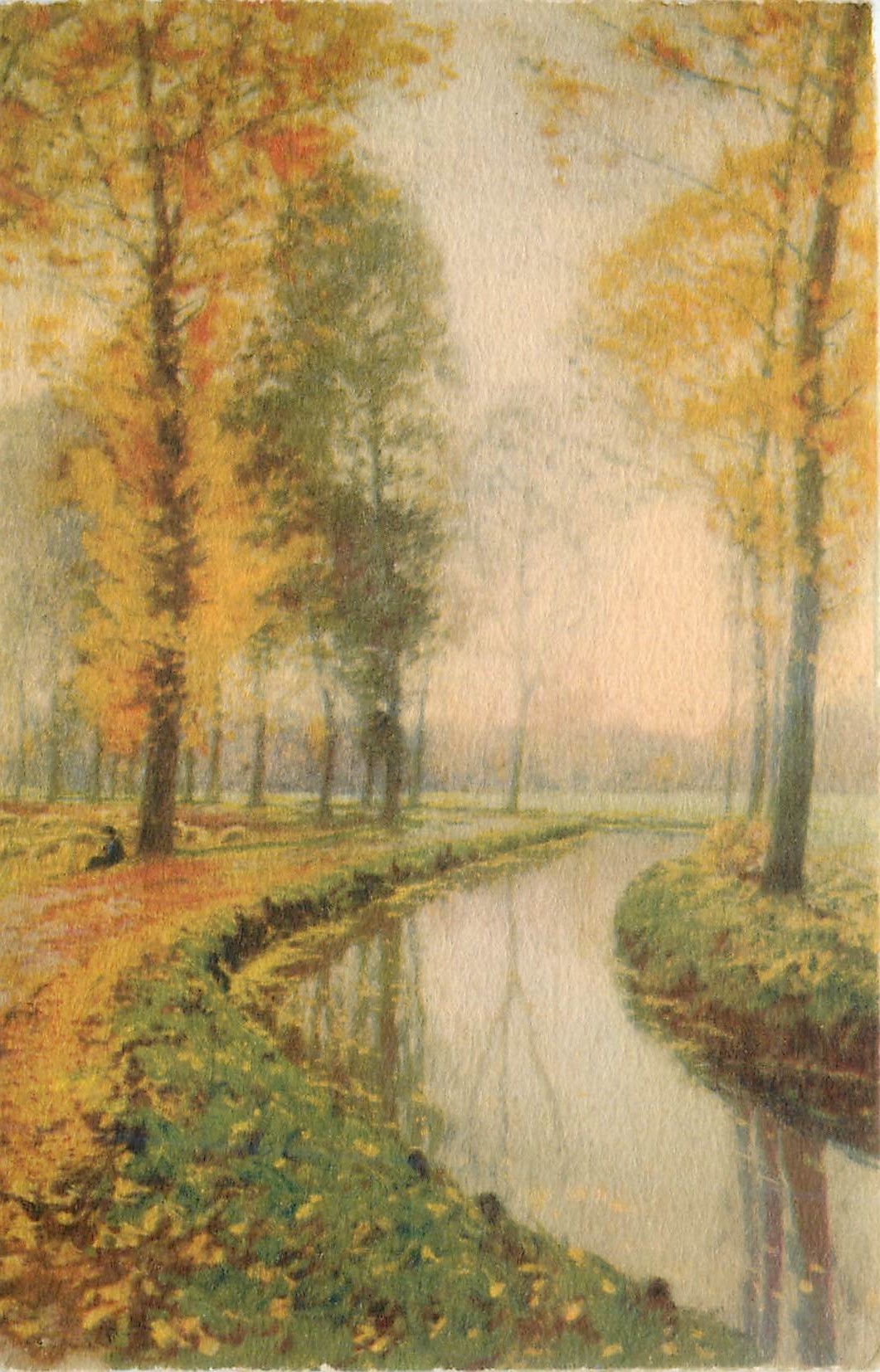 CPA Arbres