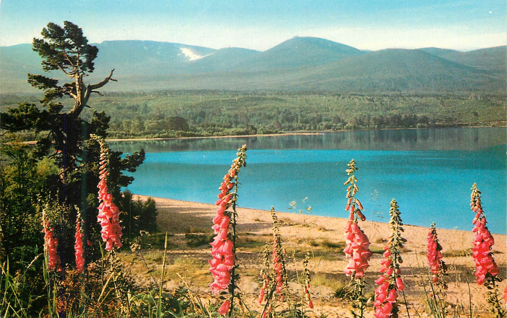 CPM Loch Morlich