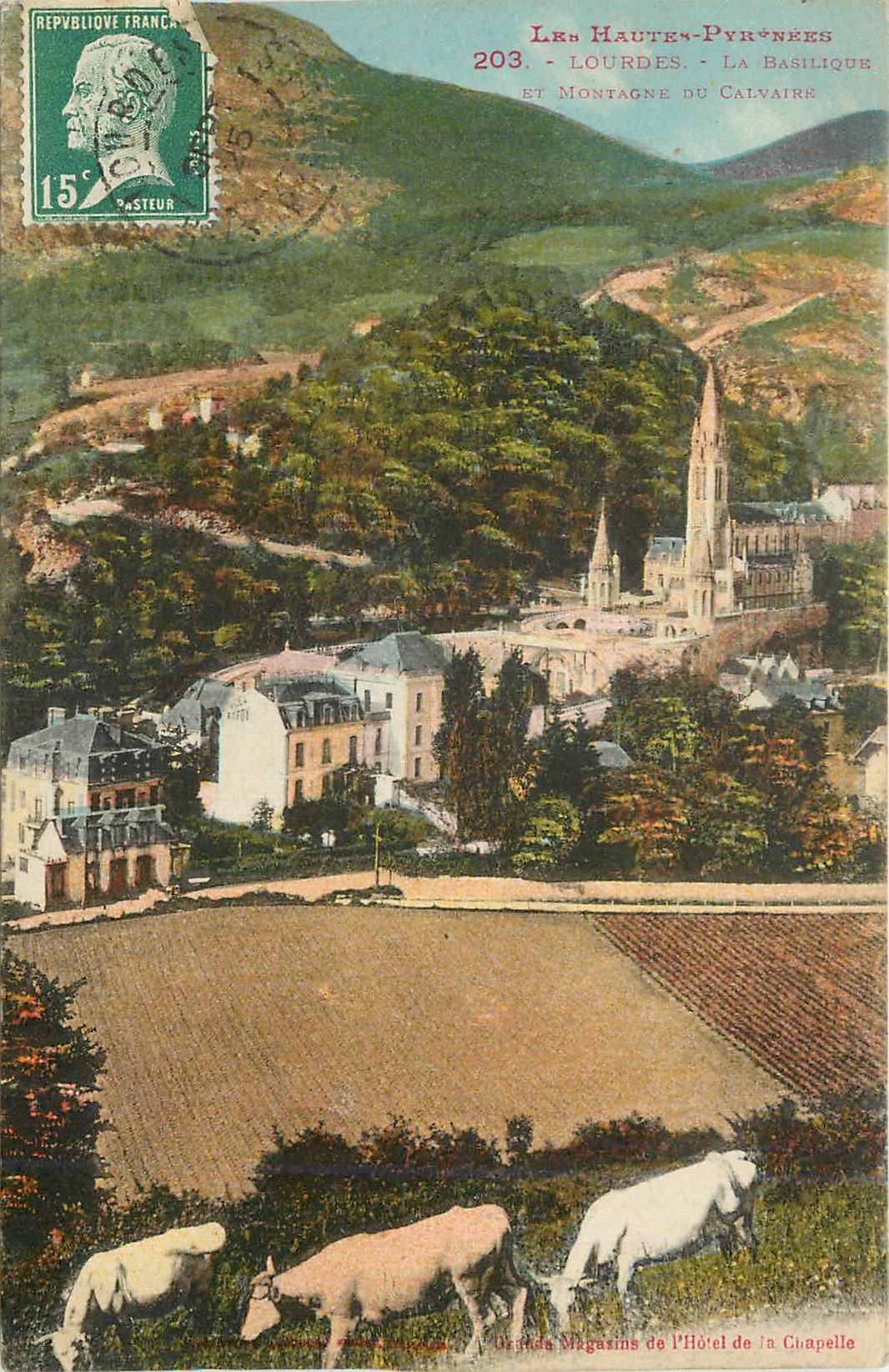 CPA Lourdes La basilique et montagne du calvaire Vaches