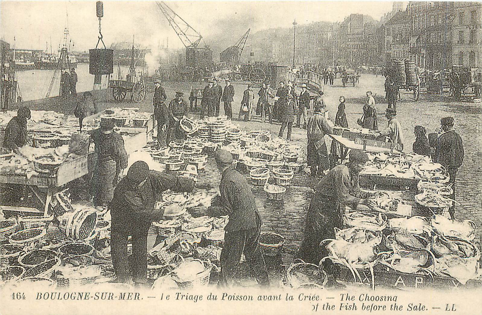 Boulogne-sur-Mer — Le Triage du Poisson avant la Criée — LL