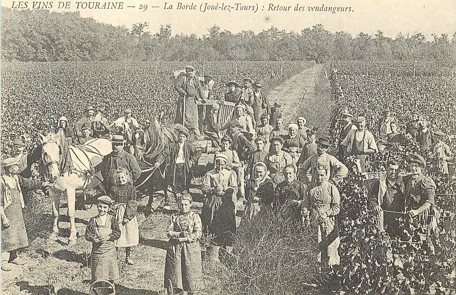 REPRO Les Vins de Touraine La Borde (Joue-lez-Tours) Retours des vendangeurs